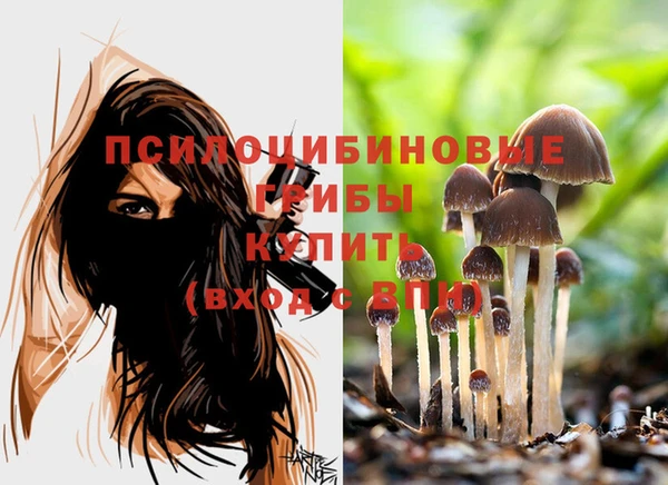 соль курить ск Россошь