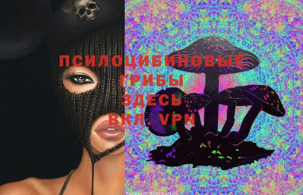 ПСИЛОЦИБИНОВЫЕ ГРИБЫ Алексин