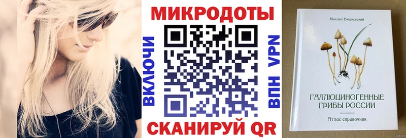 Псилоцибиновые грибы Psilocybine cubensis  Дмитров 
